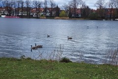 The-Nazi-party-rally-grounds-Nurnberg-Apr-2023-Lihi-Laszlo_62