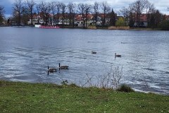 The-Nazi-party-rally-grounds-Nurnberg-Apr-2023-Lihi-Laszlo_63