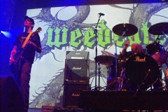 Weedeater-2011-Lihi-Laszlo_23